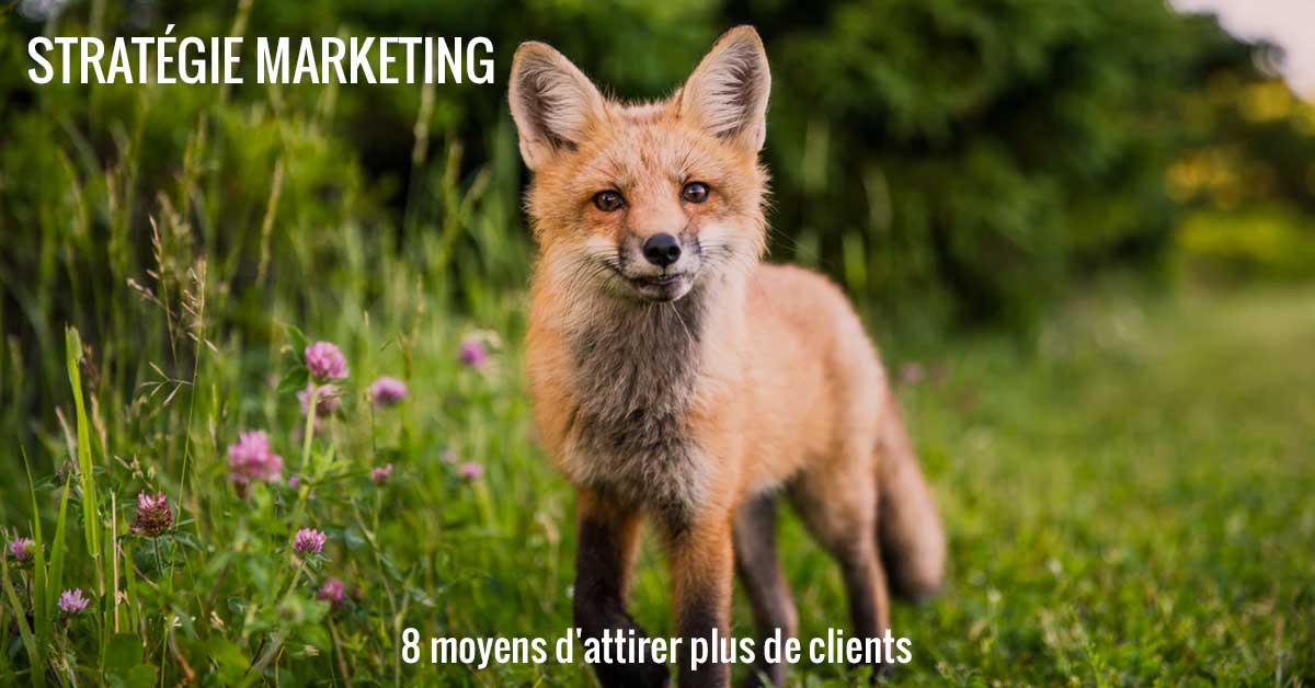 Stratégie marketing : 8 moyens d’attirer plus de clients